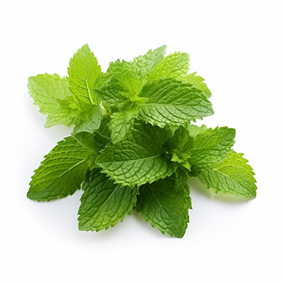 lemon balm leaves